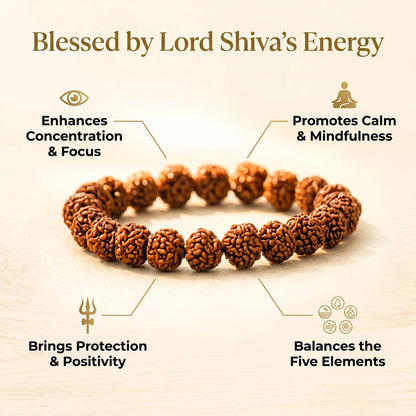 Shiv Kripa Rudraksha Bracelet (5 Mukhi Rudraksha)