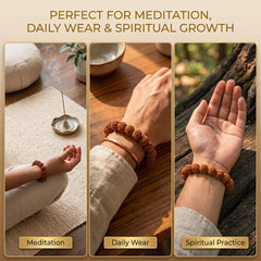 Shiv Kripa Rudraksha Bracelet (5 Mukhi Rudraksha)